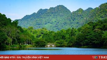 Đến Cúc PhươngChạm vào nhịp thở của thiên nhiên