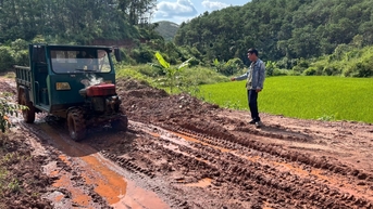 Phai Vài mong đường mới