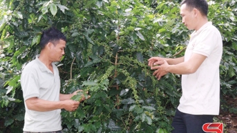 Phát huy vai trò kinh tế tập thể, hợp tác xã