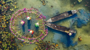 រដូវផ្កាឈូក Surreal ឃើញពីខាងលើនៅ Tay Ninh