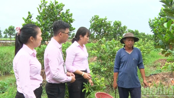 នាំយកដើមទុនឥណទានគោលនយោបាយដល់ប្រជាជន Can Tho