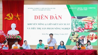 Kieu Phu는 지속 가능한 개발을 목표로 안전한 농산물 소비 연계를 촉진합니다.