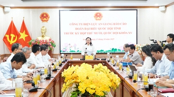 Đoàn Đại biểu Quốc hội tỉnh làm việc với Công ty Điện lực An Giang