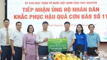 ស្ថាប័ន និងអង្គភាពអាជីវកម្មចែករំលែក និងគាំទ្រខេត្ត Thai Nguyen ជំនះផលវិបាកដោយព្យុះលេខ ១១
