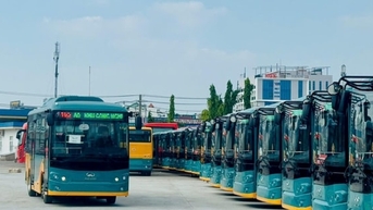 TP Hồ Chí Minh: Xem xét chuyển đổi công năng gần 100 xe buýt CNG đang "đắp chiếu"