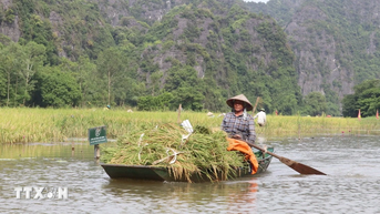 Ninh Binh៖ ទេសភាពដ៏ល្បីល្បាញជាច្រើនត្រូវបានផ្តល់កិត្តិយសជាប់ៗគ្នាជាមួយនឹងពានរង្វាន់អន្តរជាតិ