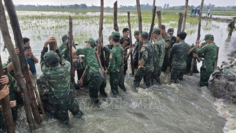តៃនិញ បានចល័តកម្លាំងដើម្បីជំនះបញ្ហាទំនប់ទឹកជាបន្ទាន់។