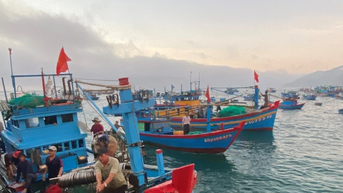 Tạm ứng hơn 4,4 tỷ đồng hỗ trợ chủ tàu cá không đủ điều kiện khai thác thủy sản