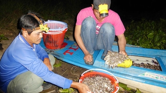 Rong ruổi trong tuyến kênh Tha La