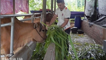 ផលប៉ះពាល់ទ្វេដងពីគំរូសេដ្ឋកិច្ចរាងជារង្វង់