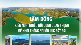 Lâm Đồng kiến nghị nhiều nội dung quan trọng để khơi thông nguồn lực đất đai