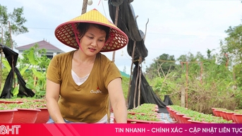 Làng hoa "khởi động" sản xuất vụ Tết