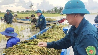 Việc gì khó có 'sao vuông'!