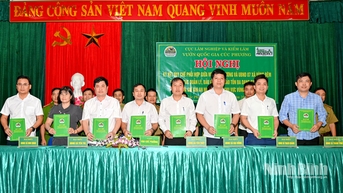 ឧទ្យានជាតិ Cuc Phuong និងឃុំតំបន់ការពារបានចុះហត្ថលេខាលើកិច្ចព្រមព្រៀងសហប្រតិបត្តិការដើម្បីពង្រឹងការការពារព្រៃឈើ និងការអភិវឌ្ឍប្រកបដោយចីរភាព។