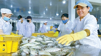 Giàu, mạnh từ biển
