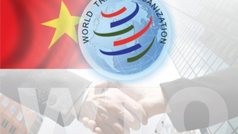 Việt Nam tham gia cơ chế giải quyết tranh chấp của WTO