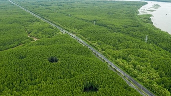 Thêm chính sách để 'rộng đường' cho 'xanh hóa' công trình, giao thông