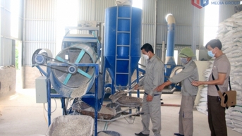 Sản xuất hàu sữa theo hướng kinh tế tuần hoàn