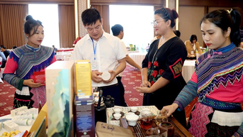 Động lực thúc đẩy phát triển công nghiệp nông thôn
