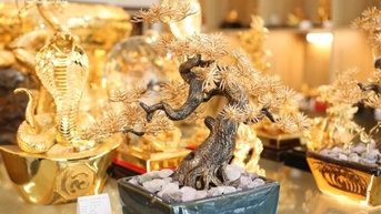 Quà 20/10 độc lạ: Tùng bonsai mạ vàng đắt đỏ, hoa Pickleball lần đầu xuất hiện