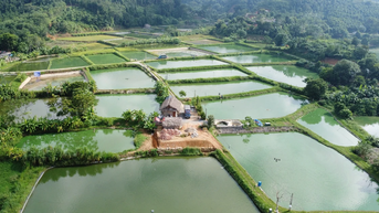 Người nuôi thủy sản thích ứng với biến đổi khí hậu