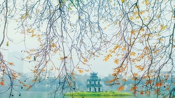 វប្បធម៌ឌីជីថល - ផ្សព្វផ្សាយរូបភាពទីក្រុងហាណូយ អរិយធម៌មួយពាន់ឆ្នាំ