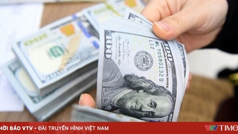 TP Hồ Chí Minh thu hút gần 8 tỷ USD kiều hối