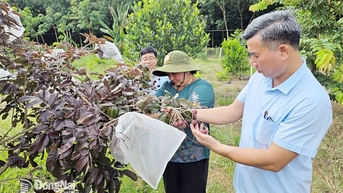 Xã vùng biên Lộc Thạnh hôm nay