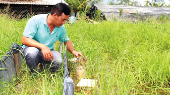 Hiệu quả mô hình kinh tế tuần hoàn - không chất thải