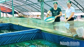 Phát huy vai trò của phụ nữ trong phát triển kinh tế-xã hội
