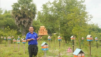 ប្រាក់ចំណូលខ្ពស់ពីគំរូចិញ្ចឹមឃ្មុំ 'ធម្មជាតិ'