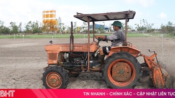 កសិករ Ha Tinh ពន្លឿនការដាំដុះ គ្របដណ្តប់ដំណាំរដូវរងា