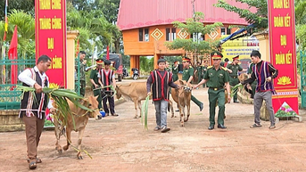 Đoàn Kinh tế-Quốc phòng 74 tặng 25 con bò giống cho các hộ dân tộc thiểu số