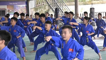 輝く武術 - ベトナムのアイデンティティを守る