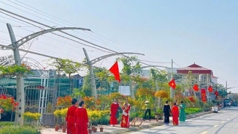 투옹피우 꽃의 색깔: 독특한 경험