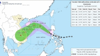 嵐12号が東海に接近、今後24時間以内に勢力が強まる見込み