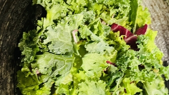 ベトナム人は果物や野菜をあまり食べていない。HCDCは家族の食事から健康的な生活を始めるよう呼びかけている。