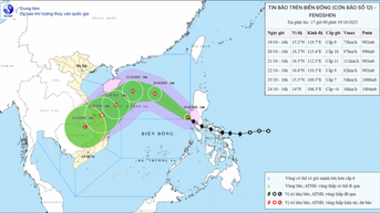 ダクラク、嵐第12号に積極的に対応