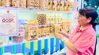 Gia Lai៖ មុខវិជ្ជា OCOP ចំនួន ៦០ ចូលរួមក្នុងការតាំងពិពណ៌ផលិតផលធម្មតា។