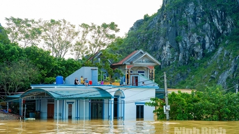 Ninh Bình: Các địa phương ven sông chủ động ứng phó nước lũ dâng cao