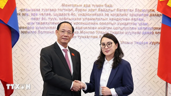 Quan hệ Đối tác Toàn diện Việt Nam-Mông Cổ ngày càng phát triển thực chất