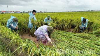 Hung Yen៖ សមាជិក​សហជីព និង​យុវជន​ជិត ២០០០ នាក់​គាំទ្រ​ប្រជាជន​ដើម្បី​ជម្នះ​ផលវិបាក​នៃ​ព្យុះ​លេខ ១០
