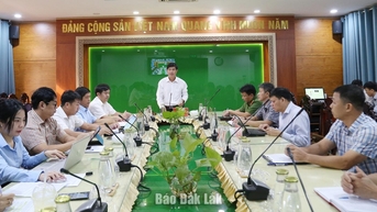 Bảo đảm tiến độ làm giàu, làm sạch cơ sở dữ liệu về đất đai