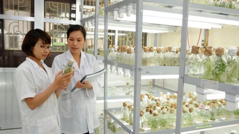 Nâng cao vai trò của phụ nữ trong phát triển khoa học-công nghệ