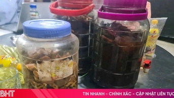 6 người nguy kịch sau khi uống rượu ngâm rễ cây