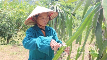 Xây dựng thôn mới sau sáp nhập