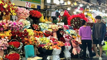 Lễ 20-10: Hoa hồng Trung Quốc lấn sân, kéo giá hoa trong nước giảm