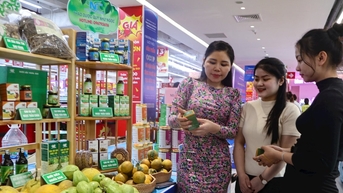 Những nữ doanh nhân Nghệ An gieo khát vọng từ nông nghiệp sạch