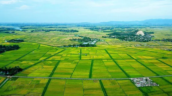 Chính phủ sẽ trình Quốc hội chính sách tháo gỡ khó khăn, vướng mắc trong thi hành Luật Đất đai