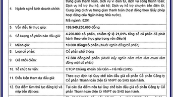 Thông báo bán đấu giá cổ phần tại Công ty CP Thanh toán Điện tử VNPT
